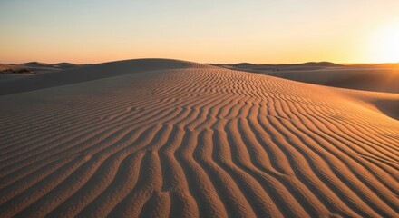 Golden Dunes Under Warm Sunset Sky	