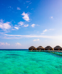 Tropical island beach landscape exotic shore coast. Tranquil closeup calm sea water waves with palm trees. Beautiful Panorama. Summer vacation, holiday amazing nature. Relax paradise, Maldives.