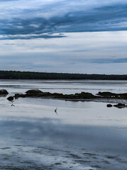lake and sky, clouds over the lake, Salt Marsh Trail, Nova Scotia, trail, forest, heron
