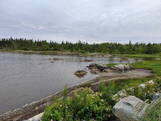 river in the forest, lake and sky, clouds over the lake, Salt Marsh Trail, Nova Scotia, trail, forest, heron