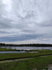 clouds over the lake, Salt Marsh Trail, Nova Scotia, trail, forest
