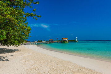 Tropical island beach landscape exotic shore coast. Tranquil closeup calm sea water waves with palm trees. Beautiful Panorama. Summer vacation, holiday amazing nature. Relax paradise, Maldives.