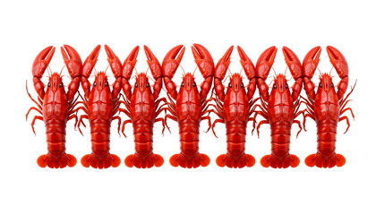 Row of cooked red crawfish fresh seafood delicacy isolated on white background