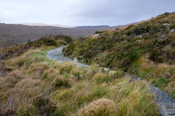 Hiking trail across a moor covered in heather and other native plants with mountains in the background, Glen Sligachan, Scottish Highlands, Scotland, UK, Europe
