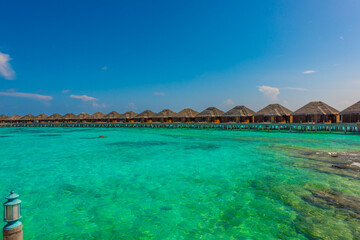 Tropical island beach landscape exotic shore coast. Tranquil closeup calm sea water waves with palm trees. Beautiful Panorama. Summer vacation, holiday amazing nature. Relax paradise, Maldives.