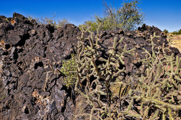 Valley of Fires lava field is considered one of the youngest lava flows in the United States, with the various formations created around 10,000 years ago.