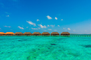 Tropical island beach landscape exotic shore coast. Tranquil closeup calm sea water waves with palm trees. Beautiful Panorama. Summer vacation, holiday amazing nature. Relax paradise, Maldives.