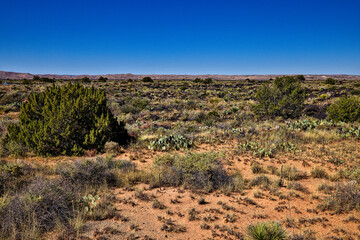 Valley of Fires lava field is considered one of the youngest lava flows in the United States, with the various formations created around 10,000 years ago.