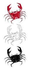 Red mechanical crab illustration in three variations