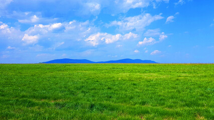 Landscape with clean meadow and hill in the background wallpaper
