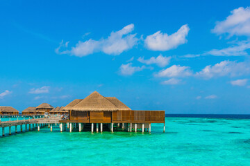 Tropical island beach landscape exotic shore coast. Tranquil closeup calm sea water waves with palm trees. Beautiful Panorama. Summer vacation, holiday amazing nature. Relax paradise, Maldives.