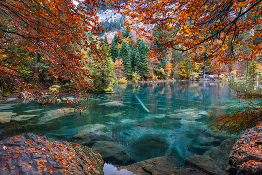 Scenic and relaxing atmosphere at Blausee, Switzerland, in autumn with colourful trees
