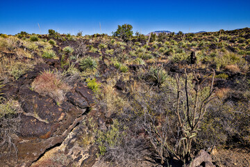 Valley of Fires lava field is considered one of the youngest lava flows in the United States, with the various formations created around 10,000 years ago.