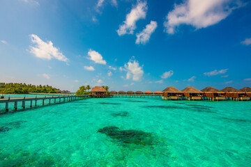 Tropical island beach landscape exotic shore coast. Tranquil closeup calm sea water waves with palm trees. Beautiful Panorama. Summer vacation, holiday amazing nature. Relax paradise, Maldives.