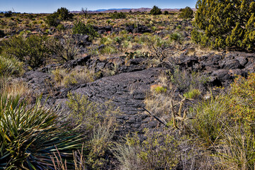 Valley of Fires lava field is considered one of the youngest lava flows in the United States, with the various formations created around 10,000 years ago.