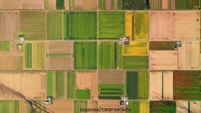 Remote sensor capturing periodic satellite imagery over crops showing timelapse growth patterns and seasonal changes in vegetation.