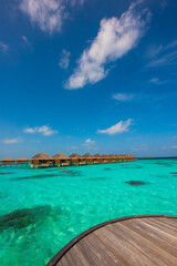 Tropical island beach landscape exotic shore coast. Tranquil closeup calm sea water waves with palm trees. Beautiful Panorama. Summer vacation, holiday amazing nature. Relax paradise, Maldives.
