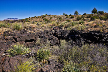 Valley of Fires lava field is considered one of the youngest lava flows in the United States, with the various formations created around 10,000 years ago.