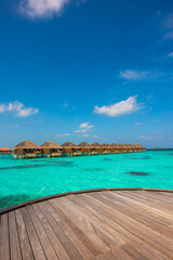 Tropical island beach landscape exotic shore coast. Tranquil closeup calm sea water waves with palm trees. Beautiful Panorama. Summer vacation, holiday amazing nature. Relax paradise, Maldives.