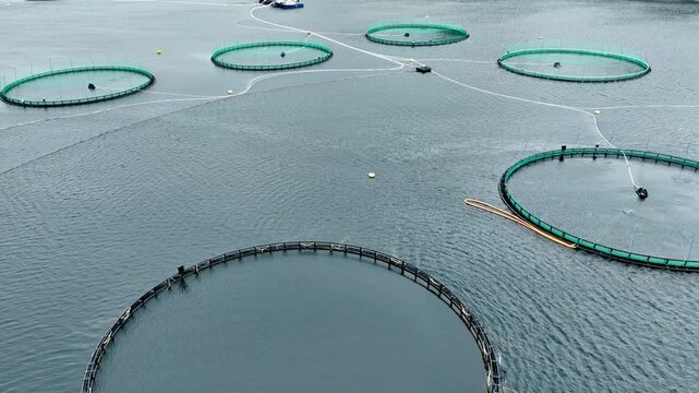 Aerial of a fish farm along the coast of Norway on an overcast day.