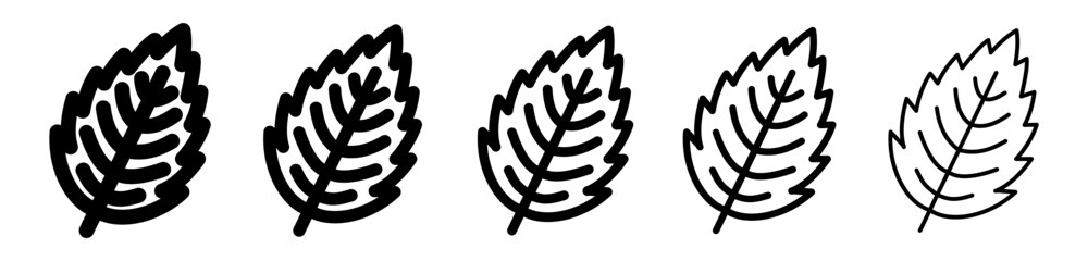 Collection of outline leaf icons drawn with various stroke weights. Simple linear vector symbols representing autumn, nature and falling leaves.