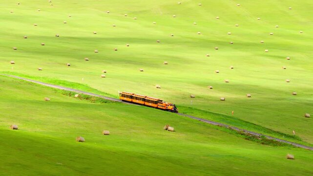 A small train on the grasslands of Inner Mongolia Scenic Area
