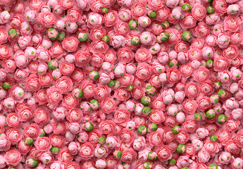 Beautiful pink carnation flowers create vibrant and cheerful background, perfect for various design projects. delicate petals and green accents