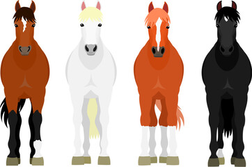 set of four standing horses front view