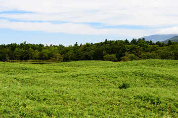 北海道　秋の知床五湖