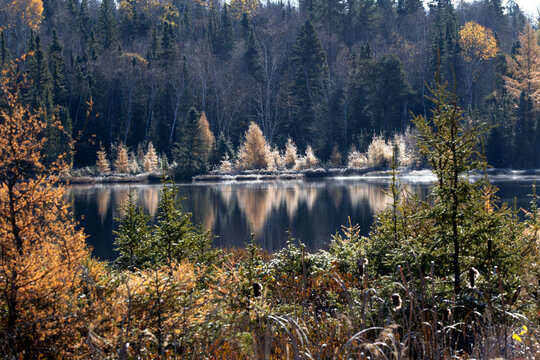 Temagami Ontario, beautiful fall color
