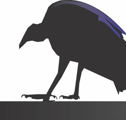 Ilustração. design de passaro Corvo 