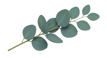 Eucalyptus Branch With Teal Leaves And Golden Dots Isolated Transparent Background