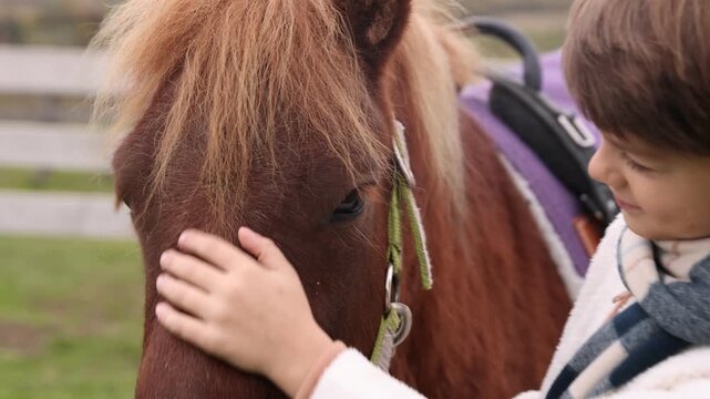 Equine assisted therapy. Little boy stroking beautiful pony in countryside. Lovely domesticated pet