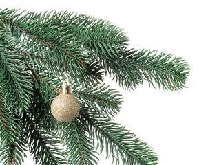 Christmas tree branch with decorative ball isolated on white