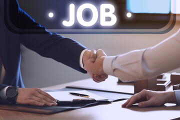 Job search. Recruiter and candidate shaking hands in office, closeup