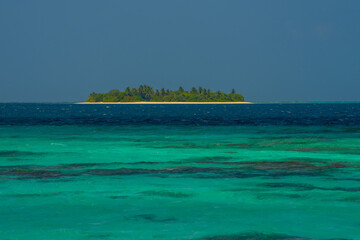 Summer vacation, holiday amazing nature. Relax paradise, Maldives. Tropical island beach landscape exotic shore coast. Tranquil closeup calm sea water waves with palm trees. Beautiful Panorama. 