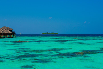 Summer vacation, holiday amazing nature. Relax paradise, Maldives. Tropical island beach landscape exotic shore coast. Tranquil closeup calm sea water waves with palm trees. Beautiful Panorama. 