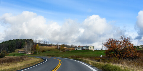 road in autumn