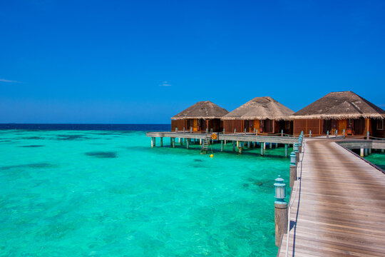Pathway to bungalows. Summer vacation, holiday amazing nature. Relax paradise, Maldives. Tropical island beach landscape exotic shore coast. Tranquil closeup calm sea water waves with palm trees.