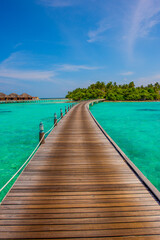 Pathway to bungalows. Summer vacation, holiday amazing nature. Relax paradise, Maldives. Tropical island beach landscape exotic shore coast. Tranquil closeup calm sea water waves with palm trees.