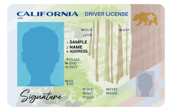 California driver license isolated on white background. Person driver license.