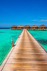 Fototapeta premium Tropical island beach landscape exotic shore coast. Tranquil closeup calm sea water waves with palm trees. Beautiful Panorama. Summer vacation, holiday amazing nature. Relax paradise, Maldives.