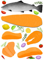 Salmon