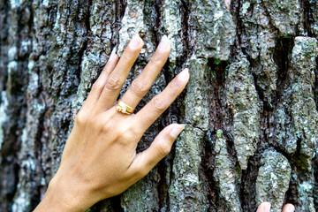 Hand touching tree. Bathing forest (Shinrin-yoku or mandi hutan) to reduce stress, blood pressure, improves mood and concentration.