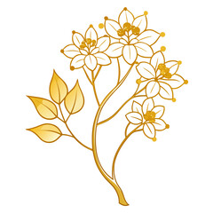 golden rain tree line art on white background