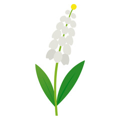 grape hyacinth white magic silhouette 