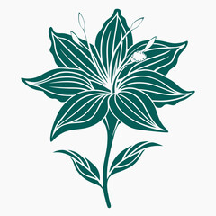 line art gaura lindheimer flower on white background