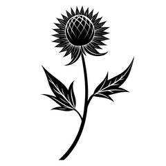  globe thistle black line art flower vector on white background
