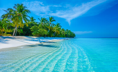 Tropical island beach landscape exotic shore coast. Tranquil closeup calm sea water waves with palm trees. Beautiful Panorama. Summer vacation, holiday amazing nature. Relax paradise, Maldives.