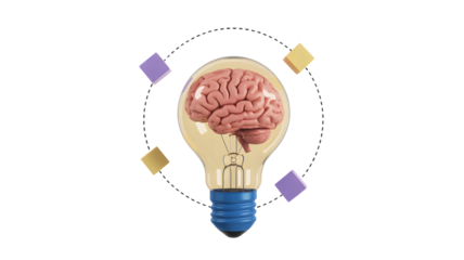 Conceptual illustration of a human brain inside a light bulb symbolizing a brilliant idea or innovation isolated on transparent background